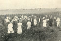 Joyce Cotton Mills workers in the field