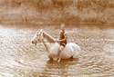 man riding bareback on a horse in water